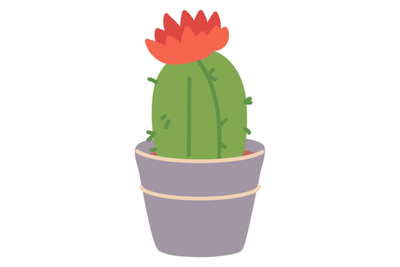 Bringing Life to Your Space: The Versatile Appeal of a Cacti Flower Houseplant for Decorative Homes