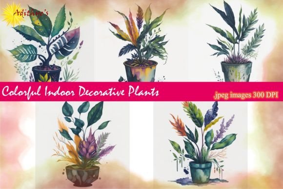 Colorful Indoor Decorative Plants: A Vibrant Addition to Your Home
