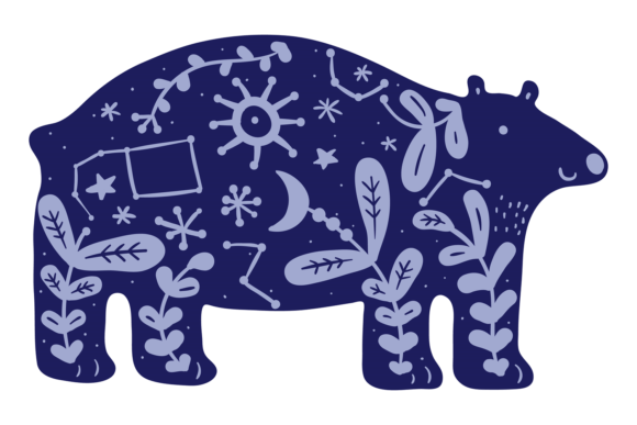 Decorative Bear Print. Forest Animal Wit