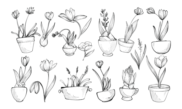 Decorative Plants Handdrawn Collection: A Strategic Tool for Creative and Professional Growth