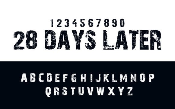 Grunge Type Decorative Elegant Lettering for Dynamic Branding and Design