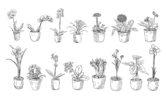 Handdrawn Decorative Flower Pots
