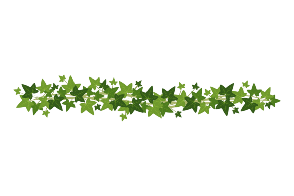 Herbal Green Element: Beauty Decorative