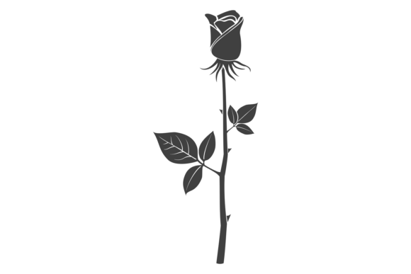 Rose Bud Decorative Floral Element. Gard: A Versatile Addition to Your Creative Projects
