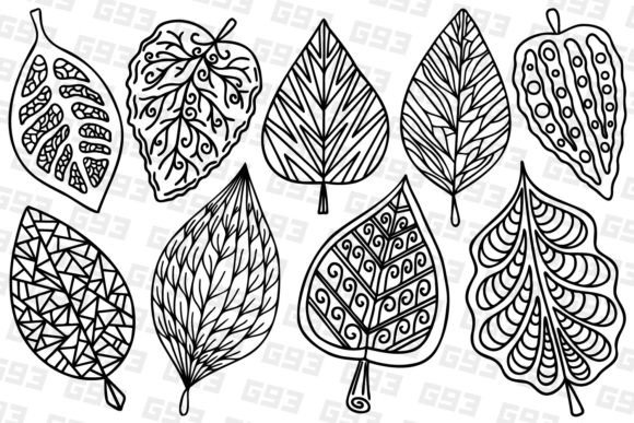 Stylized Decorative Line Art Leaves