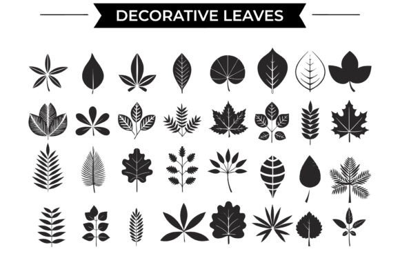 SVG Decorative Leaves Collection